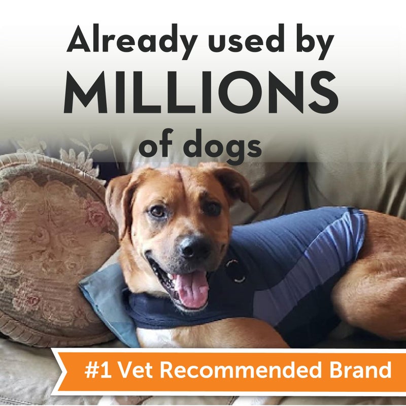 ThunderShirt for Dogs, X Large, Blue Polo - Dog Anxiety Relief Calming Vest - Image 2